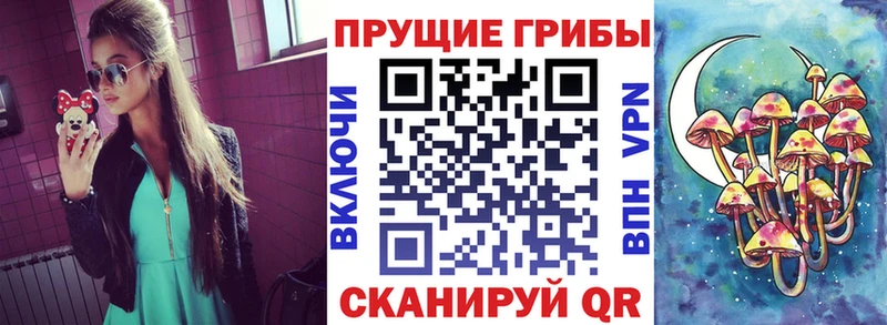 kraken ссылки  наркошоп  Нюрба  Псилоцибиновые грибы ЛСД 